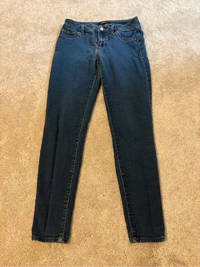 d. jeans Dark Indigo Skinny Women's Jeans